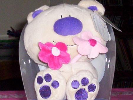nounours